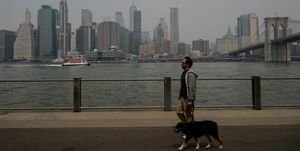homme promenant son chien lors d'une mauvaise qualité de l'air