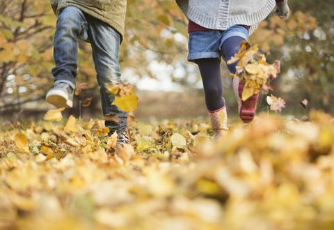 calembours de feuille d'automne