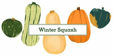 16 types de squash
