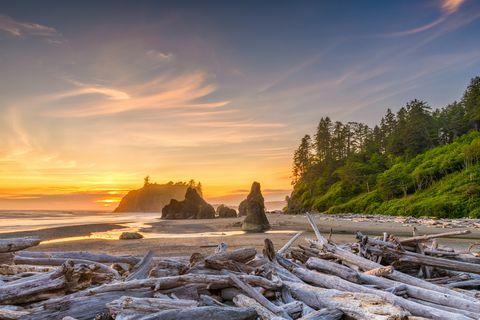 Parc national olympique, Washington, USA