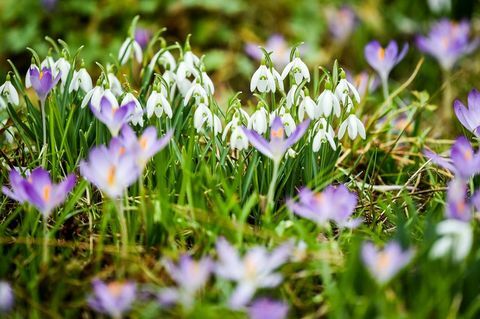 Météo d'hiver 12 février 2019