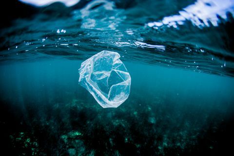 sac en plastique flottant au-dessus du récif dans l'océan, costa rica