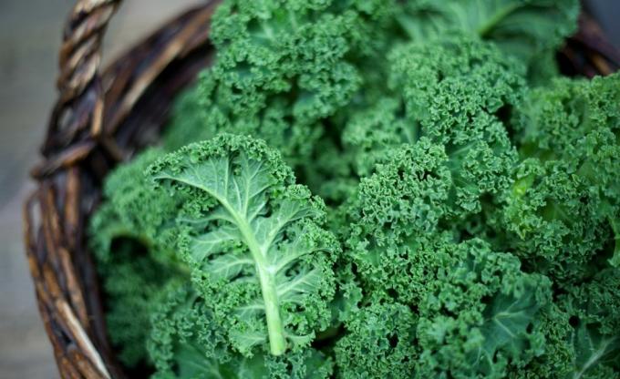 Kale dans un panier rustique à la lumière du jour en gros plan