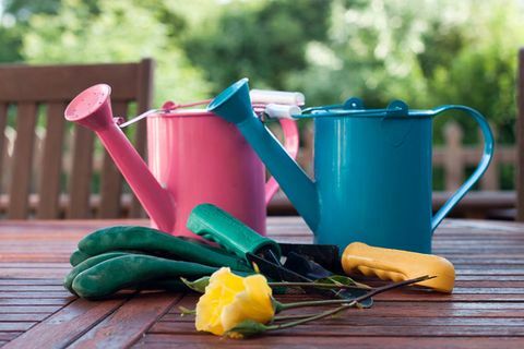 Outils de jardin arrosoir