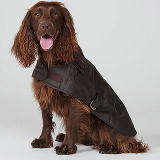 Manteau pour chien ciré Barbour, marron foncé
