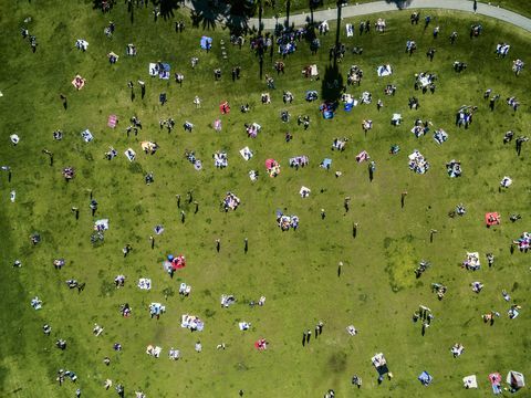 Vue aérienne de personnes dans un parc de la ville un jour d'été, assis, debout, sur des tapis de pique-nique.