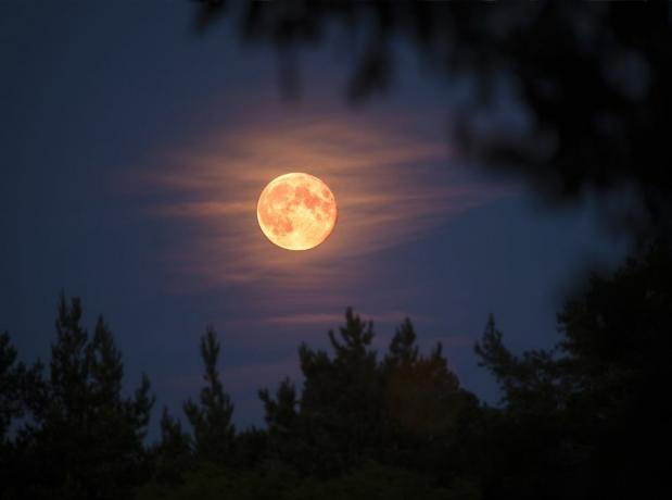 Qu'est-ce que la lune d'un chasseur? L'histoire intéressante derrière la pleine lune d'octobre