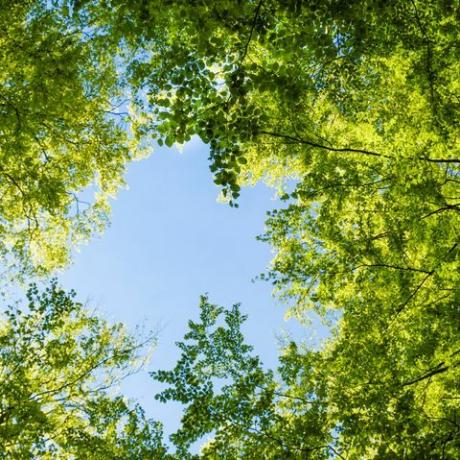 tendances bien-être 2023 regardant le ciel