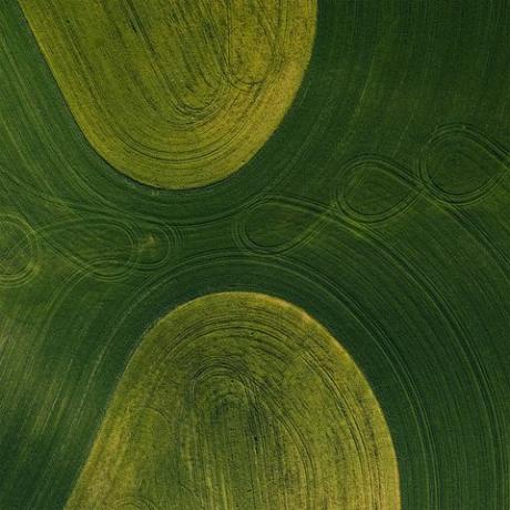 photos aériennes motifs de terres agricoles