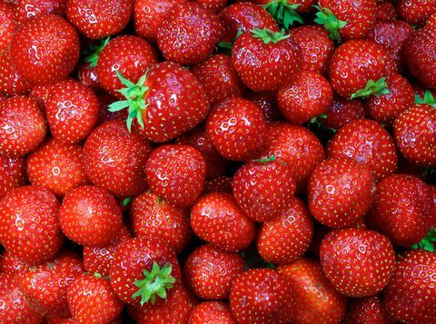 Gros plan, frais, fraises