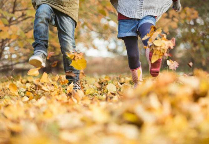 calembours de feuilles d'automne