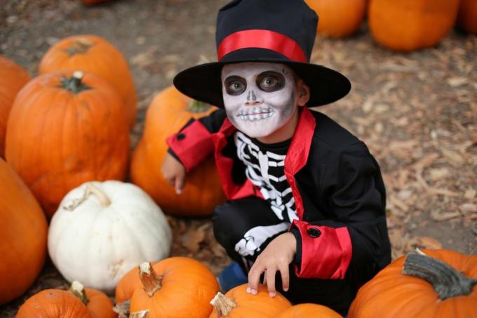 Halloween enfants jouant des tours ou des friandises garçon dans un costume d'halloween de squelette avec chapeau et smocks entre les citrouilles orange halloween kids