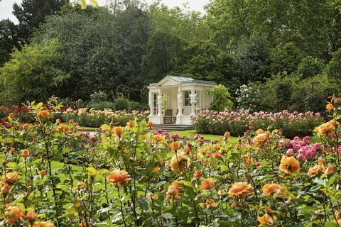 les jardins du palais de buckingham révélés dans un nouveau livre
