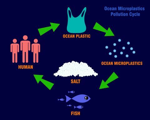 concept de cercle de pollution des microplastiques océaniques. illustration vectorielle.