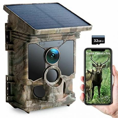 Caméra solaire pour la faune CEYOMUR 