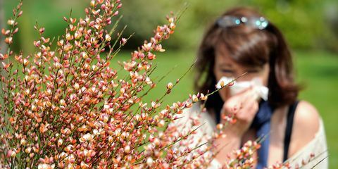 saison des allergies 2018 - combien de temps durera-t-elle