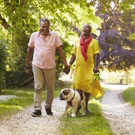 Couples aînés, marche, à, chouchou, bouledogue, dans, campagne