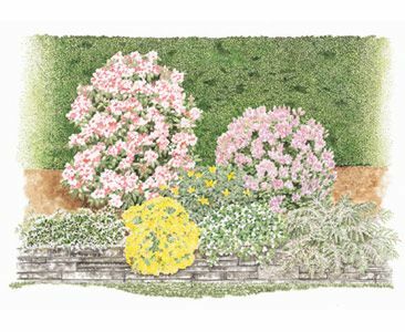 Une bordure d'arbuste à fleurs