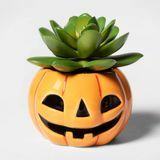 Citrouille Halloween succulentes