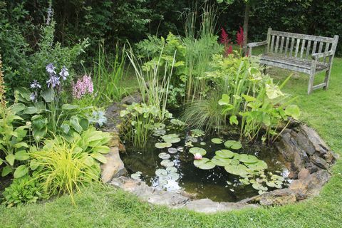 jardin de l'étang