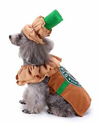 Costume de chiot latte