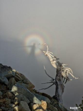 Spectre brisé vu au-dessus du parc national du Mont Rainier