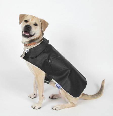 Veste en cuir noir et peluche pour chien RSPCA - Cadeau de Noël