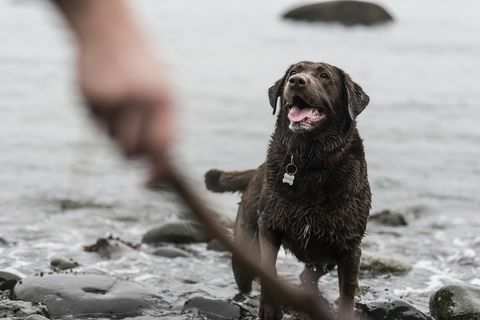 Jouez à la plage