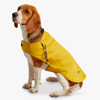 Imperméable pour chien Joules moutarde