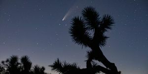 comète neowise visible dans le sud de la californie