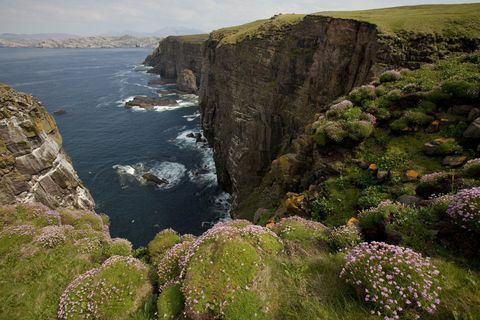 Île de Handa