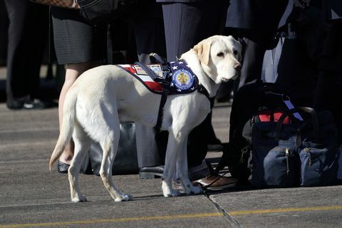 Cérémonie de départ organisée alors que le corps du président Bush s'est rendu à Washington DC