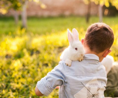 Garçon embrassant son lapin dans le parc