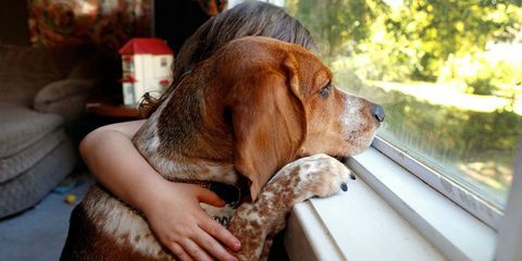 fille étreignant chien