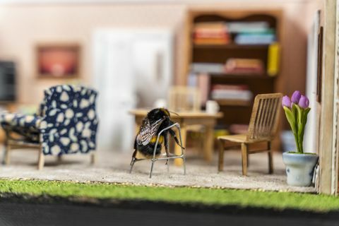 Une petite maison de retraite pour les abeilles est lancée au Royaume-Uni pour une très bonne raison