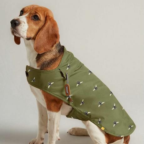 Manteau pour chien ciré vert olive