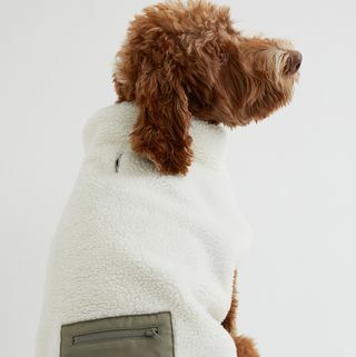 Veste pour chien en imitation peau de mouton avec poche