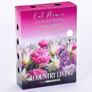 Collection de fleurs coupées Country Living