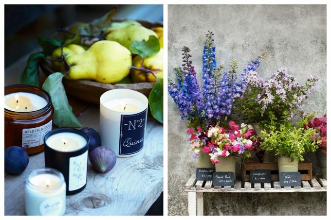 une collection de bougies parfumées et de fruits sur une table rustique en bois et des fleurs coupées parfumées colorées dans des seaux