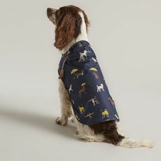 Manteau imperméable pour animaux de compagnie imperméable