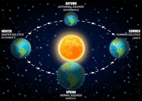 Diagramme vectoriel illustrant les saisons de la Terre. équinoxes et solstices