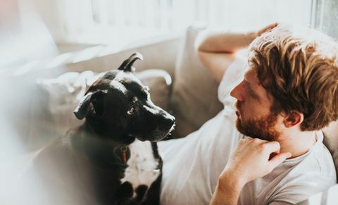 Homme et chien