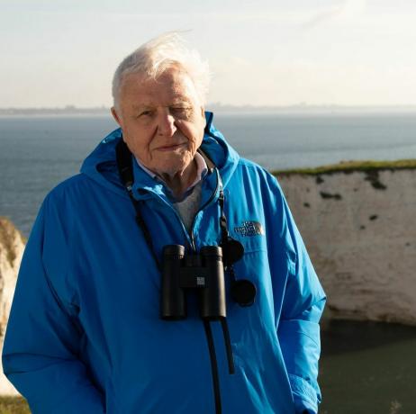 îles sauvages, 12 02 2023, nos précieuses îles, 1, Sir David Attenborough, Sir David Attenborough présente la série des îles sauvages à l'aube à Old Harrys Rocks, Dorset, Royaume-Uni 2022, films à dos argenté, Chris Howard
