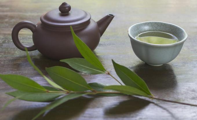 Nature morte avec théière en céramique, tasse de thé vert et branche de théier