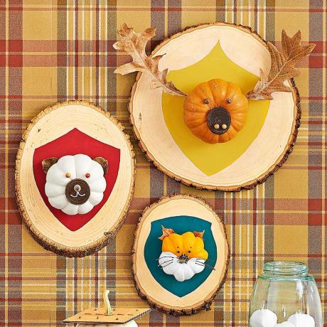 supports muraux d'animaux ours, élan et renard fabriqués à partir de mini citrouilles sur des dalles de bois
