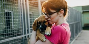 jeune femme adoptant un chien d'un refuge