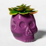 Crâne violet Halloween succulent