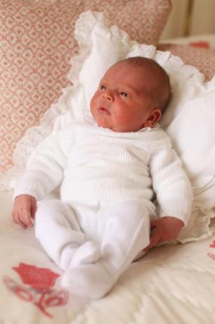 portrait de bébé prince louis