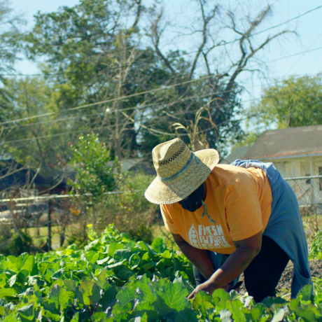 germain jenkins dans sa ferme