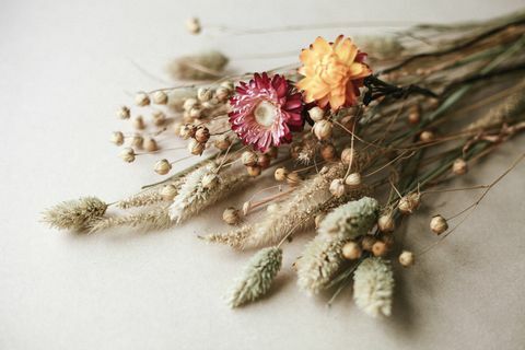 fleurs séchées et herbe de lin et de paille sur fond beige bouquet de fleurs sèches, décorations tendance